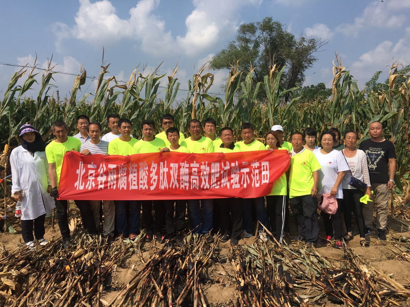 綠色智造賦能現(xiàn)代農(nóng)業(yè)——綠得利5800噸煙草專用肥發(fā)往山東全過(guò)程及生物有機(jī)肥研發(fā)解析